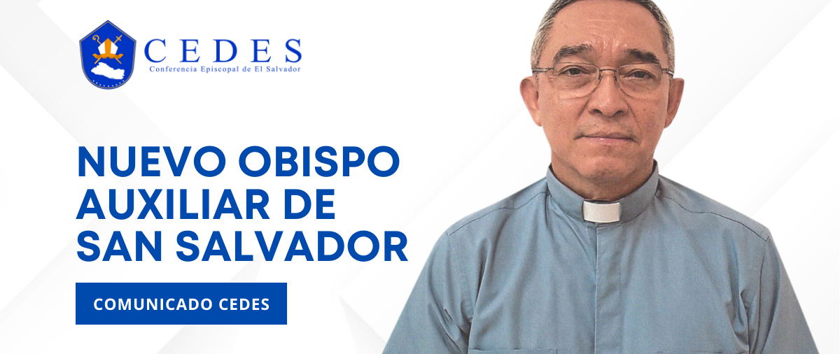 Nombran Obispo auxiliar